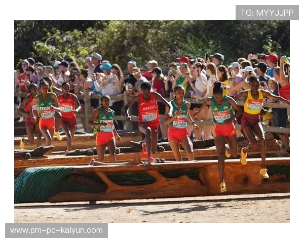 “2025世界运动会东安湖体育公园：跑酷与极限障碍赛的顶尖对决”